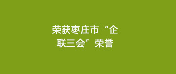 喜報(bào)|鑫金山榮獲棗莊市“企聯(lián)三會”多項(xiàng)榮譽(yù)